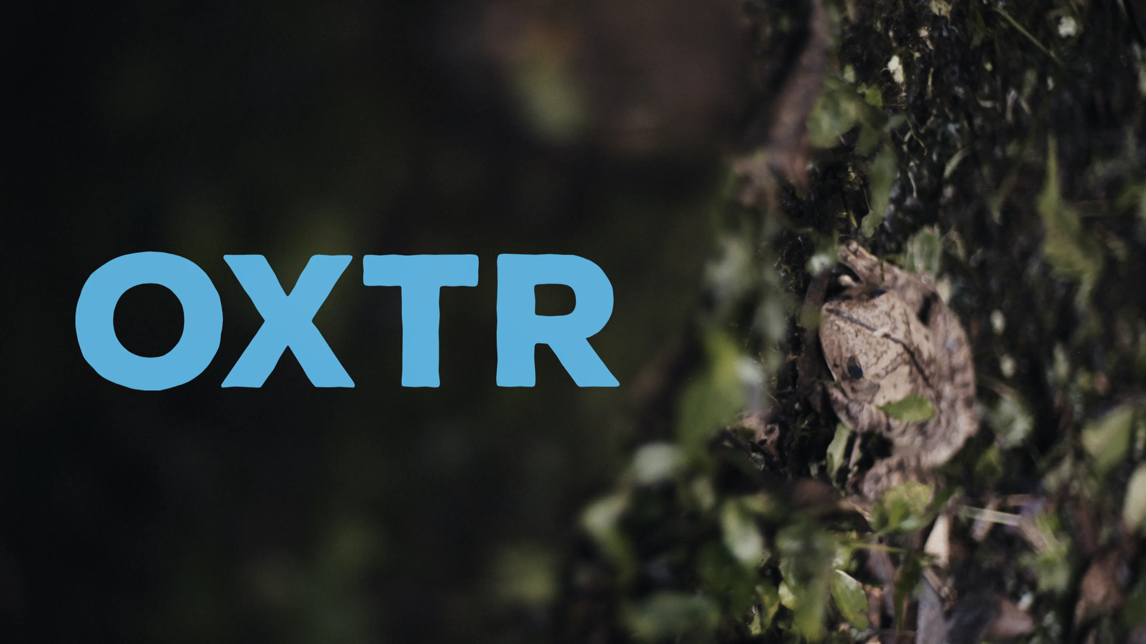 Oxtr poster